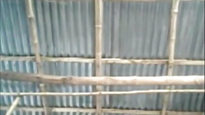 होटल के साथ सेक्सी सेक्सी मूवी फुल सेक्स मियामी खरगोश