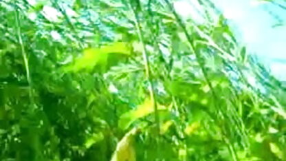 लीना केली और अप्रैल ओ सेक्सी वीडियो फुल हड मूवी ' नील-चाय पार्टी